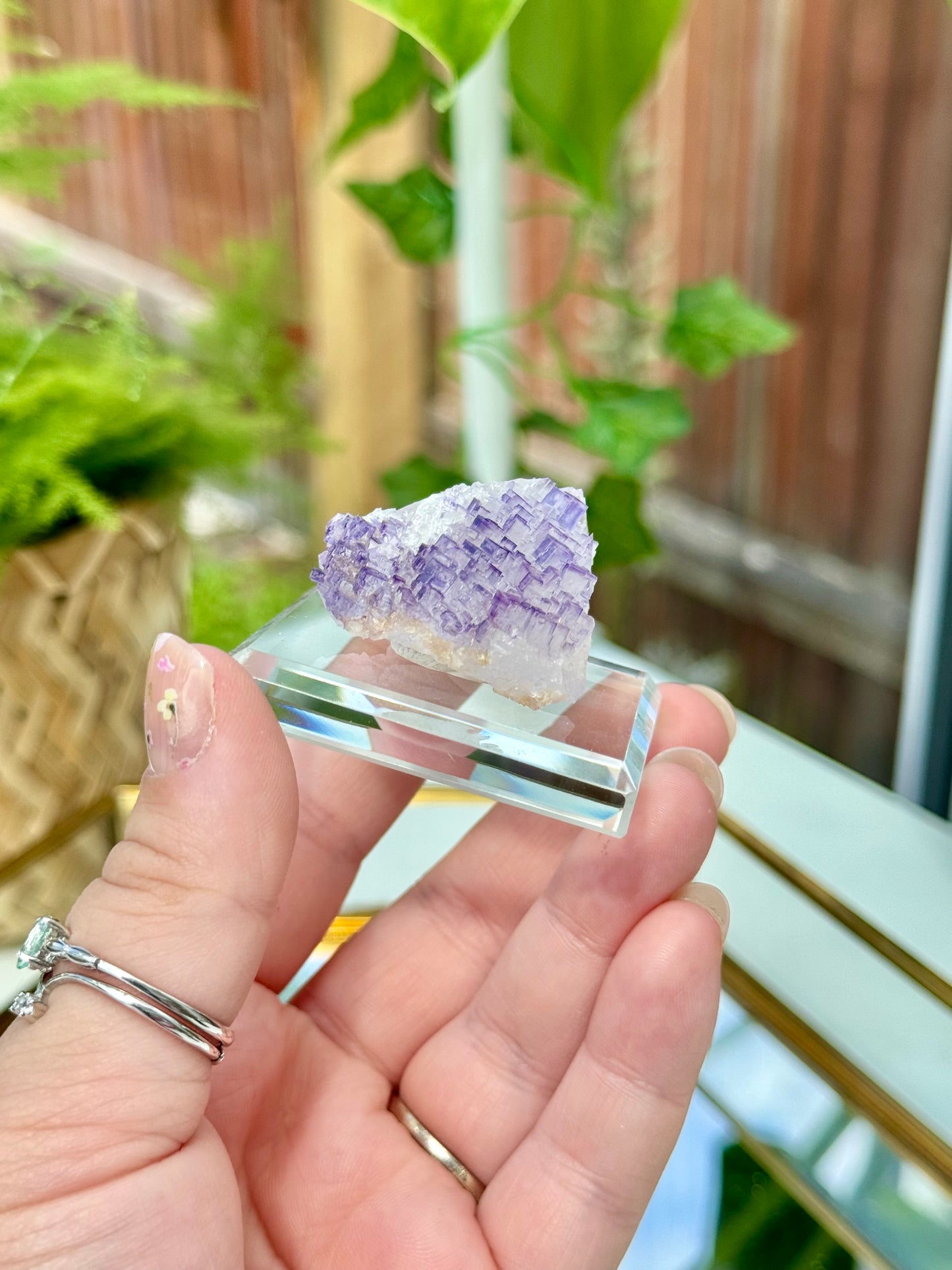 Muzquiz Fluorite from Mexico