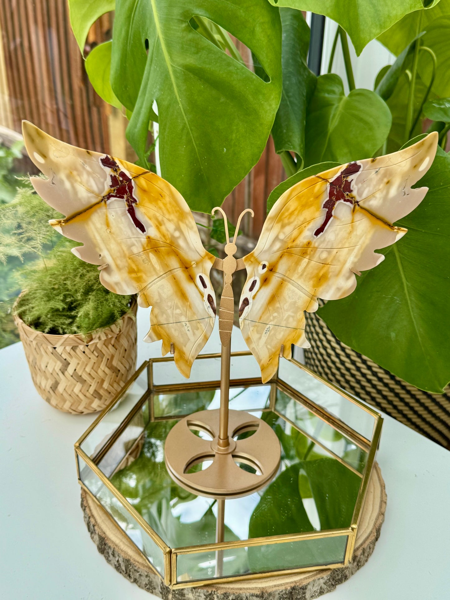 Statement Mookaite Wings