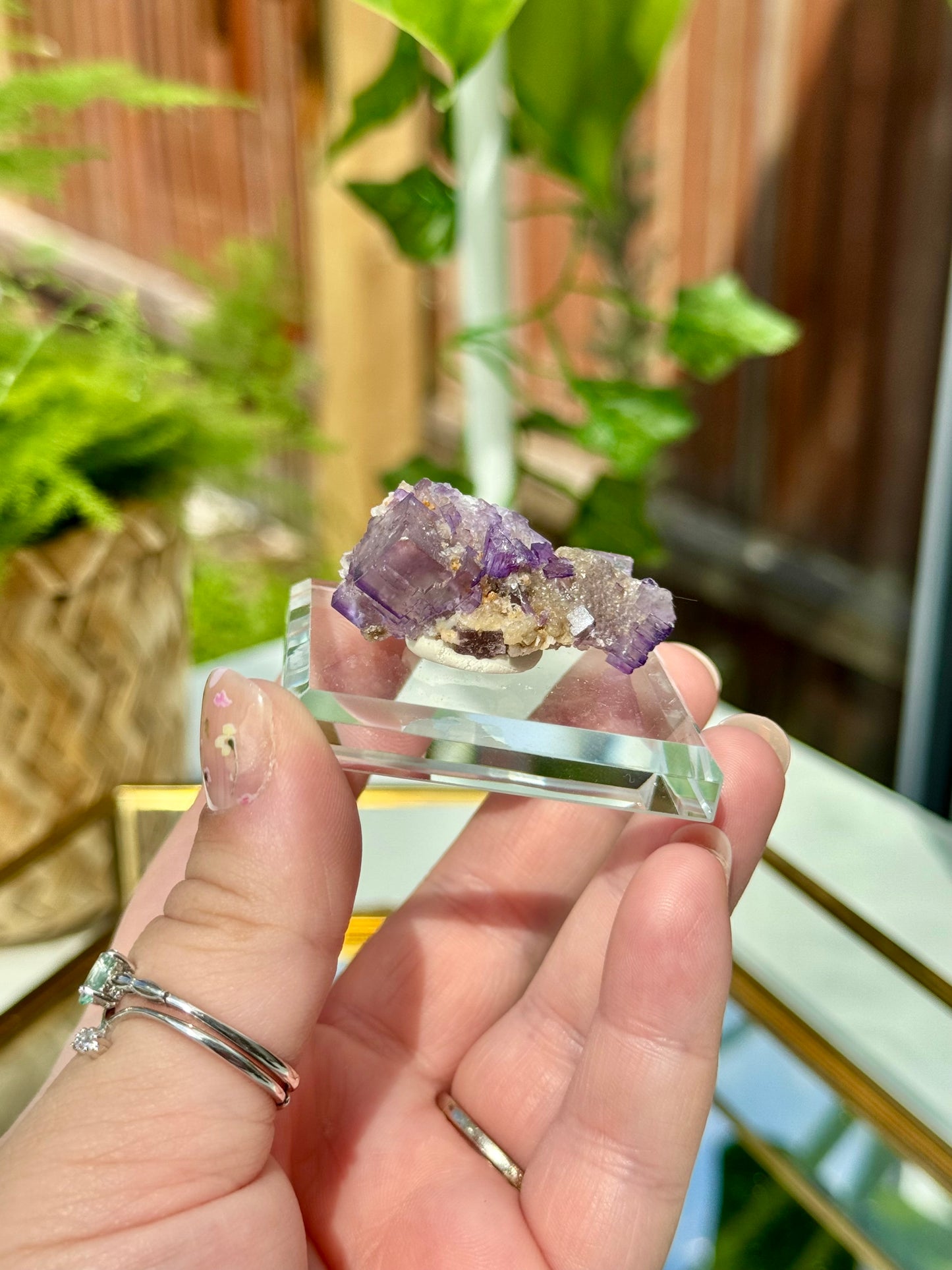 Muzquiz Fluorite from Mexico