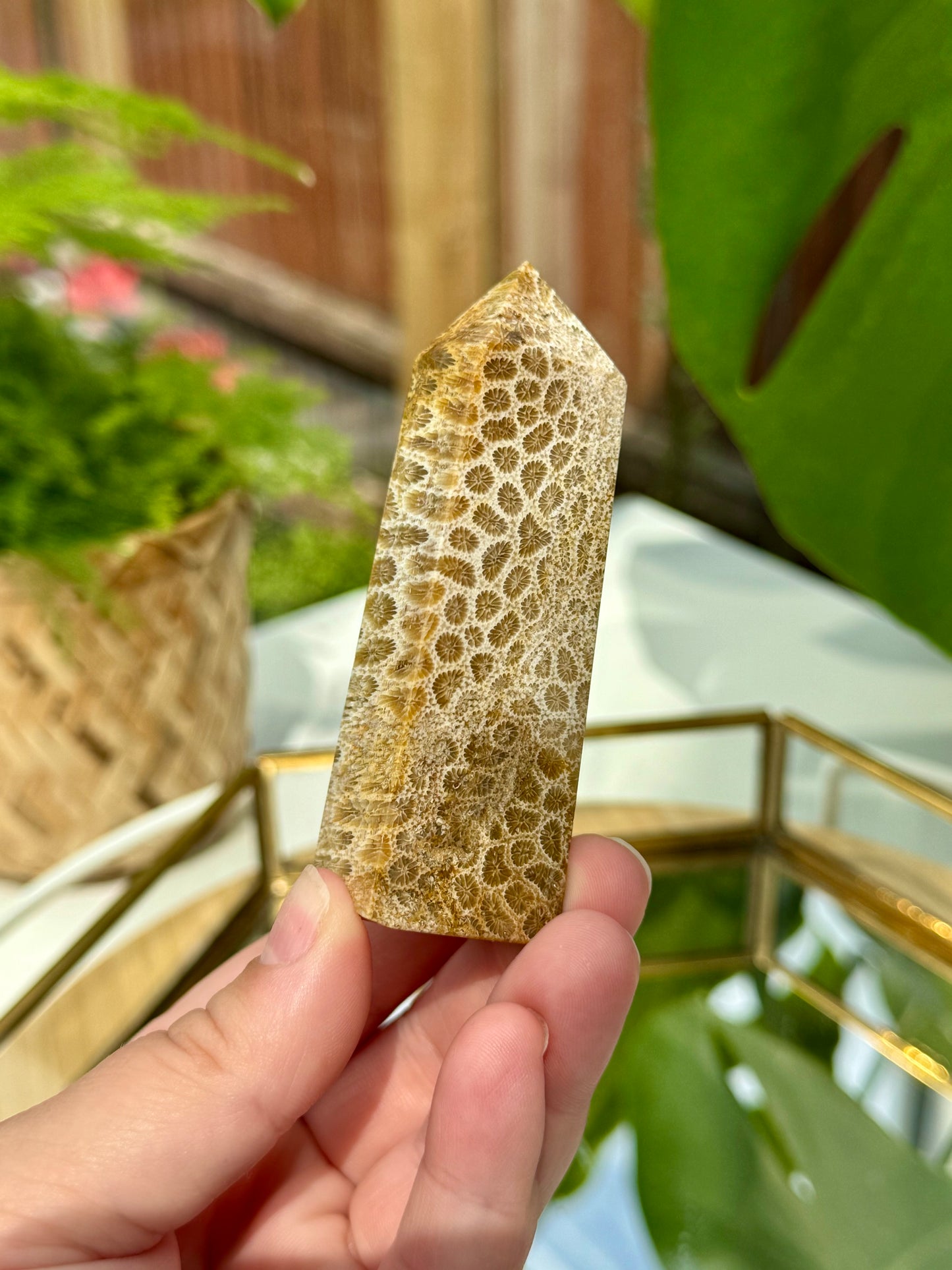 Fossilised Coral Towers
