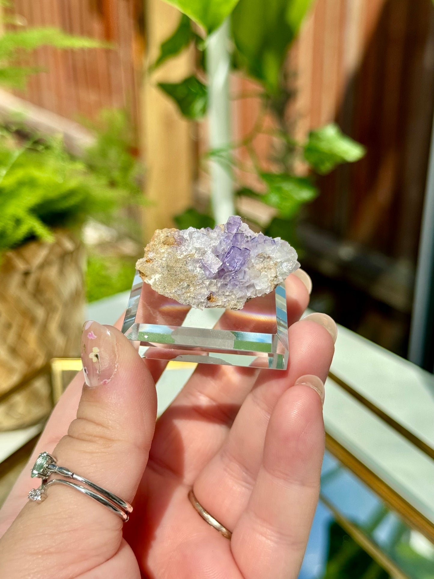 Muzquiz Fluorite from Mexico