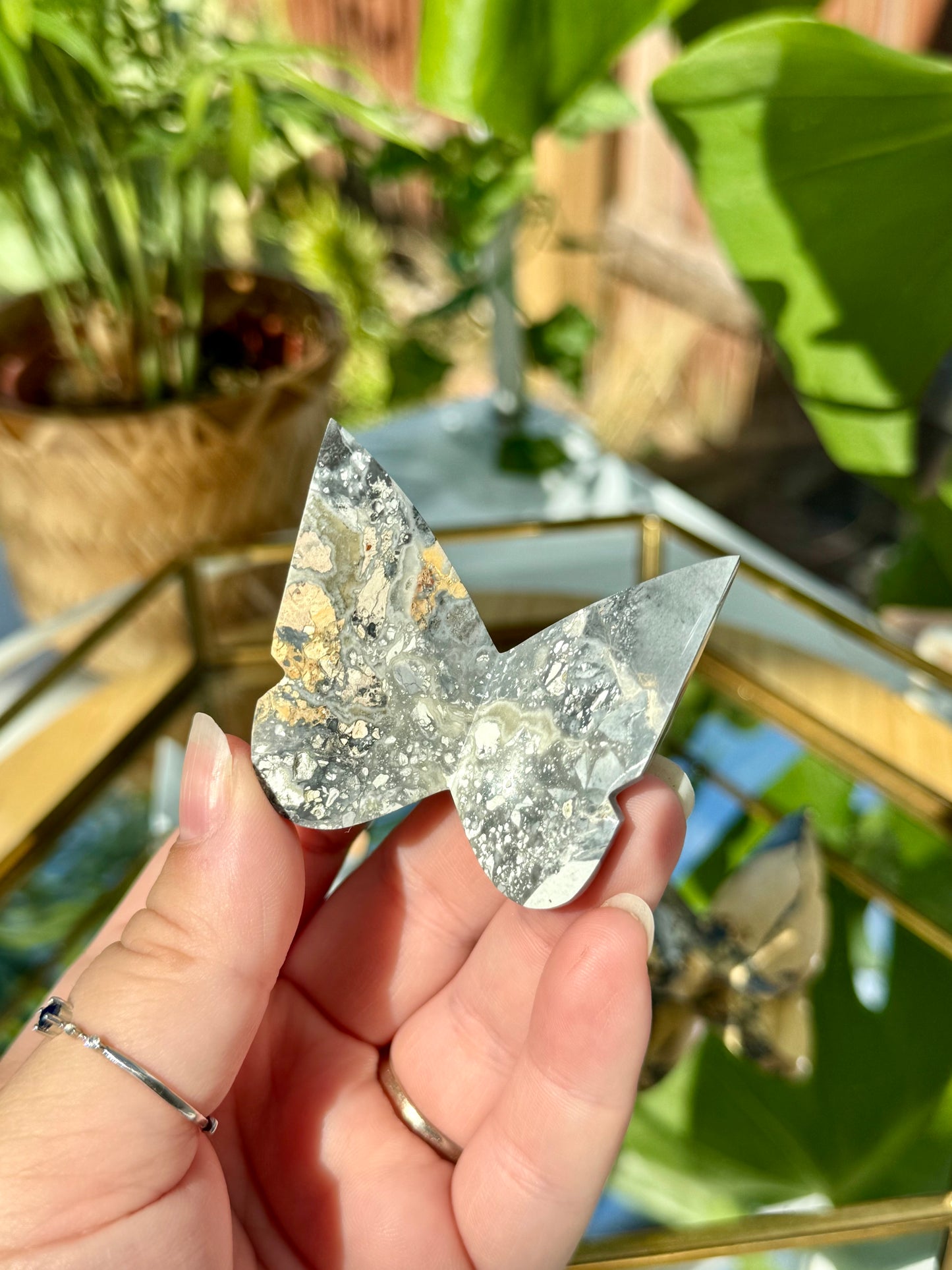 Maligano Jasper 3D Butterflies