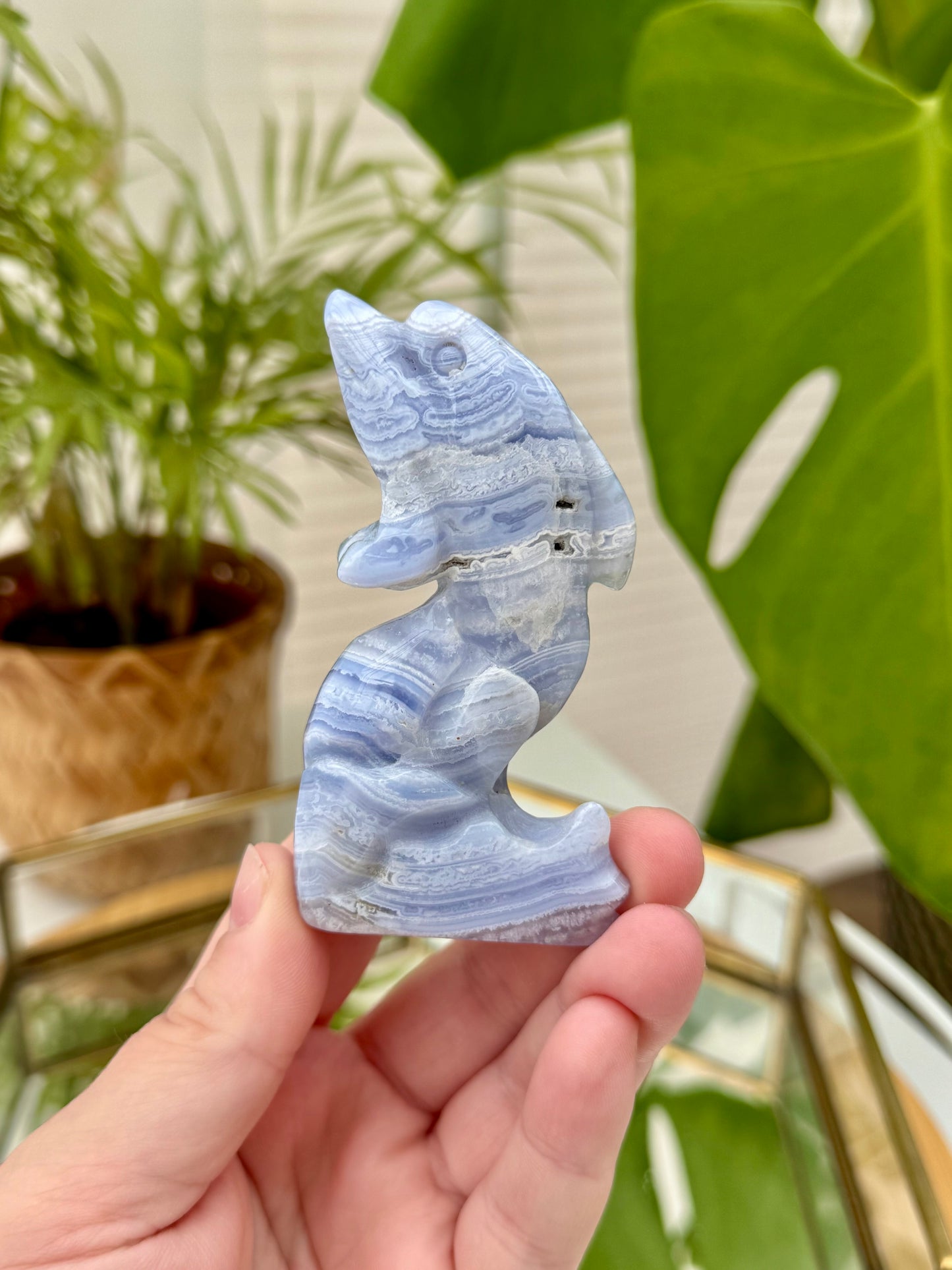 Blue Lace Agate Dolphin