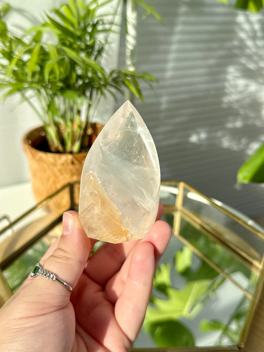 Golden Healer Flames from Brazil