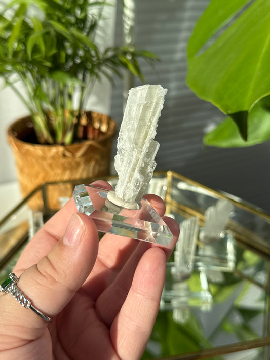 RARE Nifontovite from Mexico