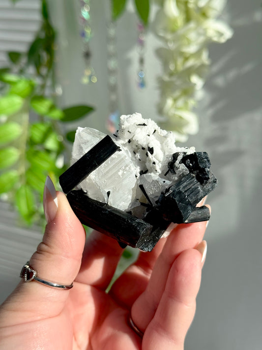 Black Tourmaline in Quartz