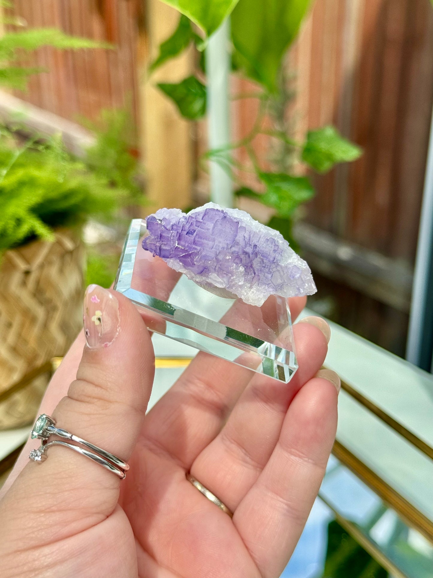 Muzquiz Fluorite from Mexico