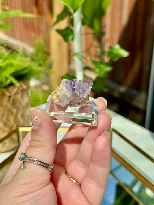 Muzquiz Fluorite from Mexico
