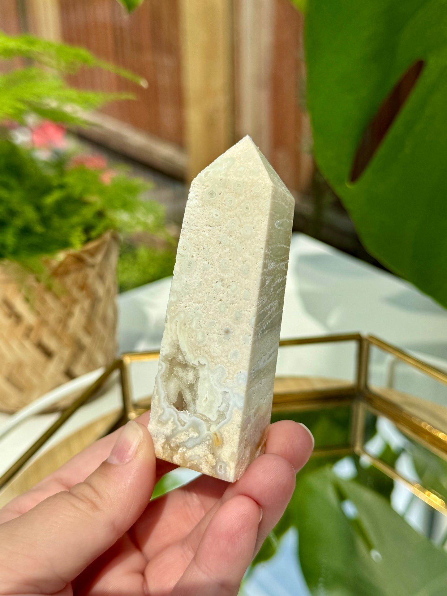 Fossilised Coral Towers