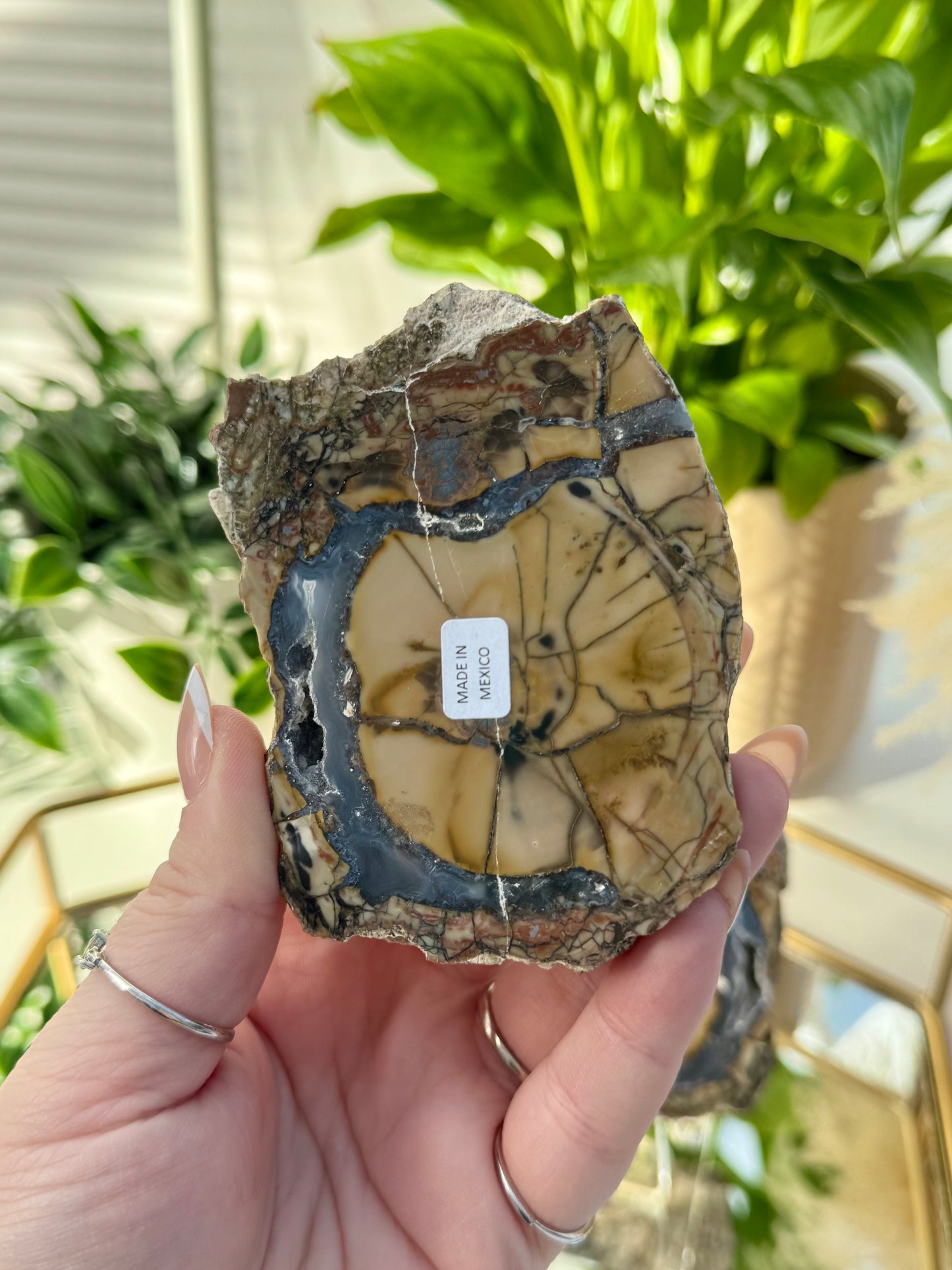 Cold Mountain Thunder Eggs