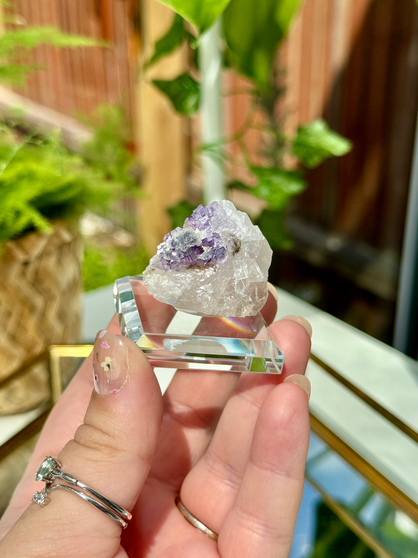 Muzquiz Fluorite from Mexico