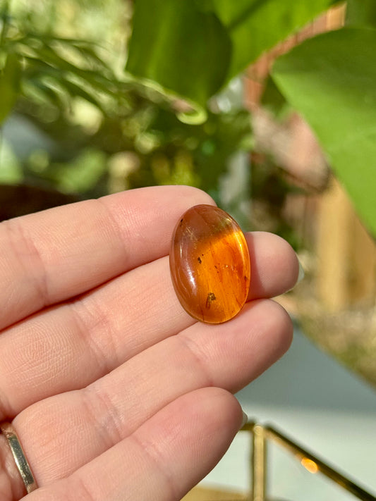 Genuine Amber with Insects