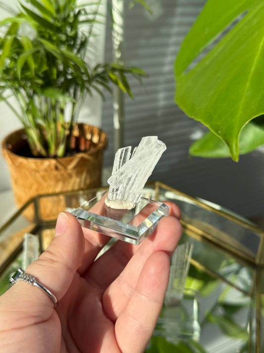 RARE Nifontovite from Mexico