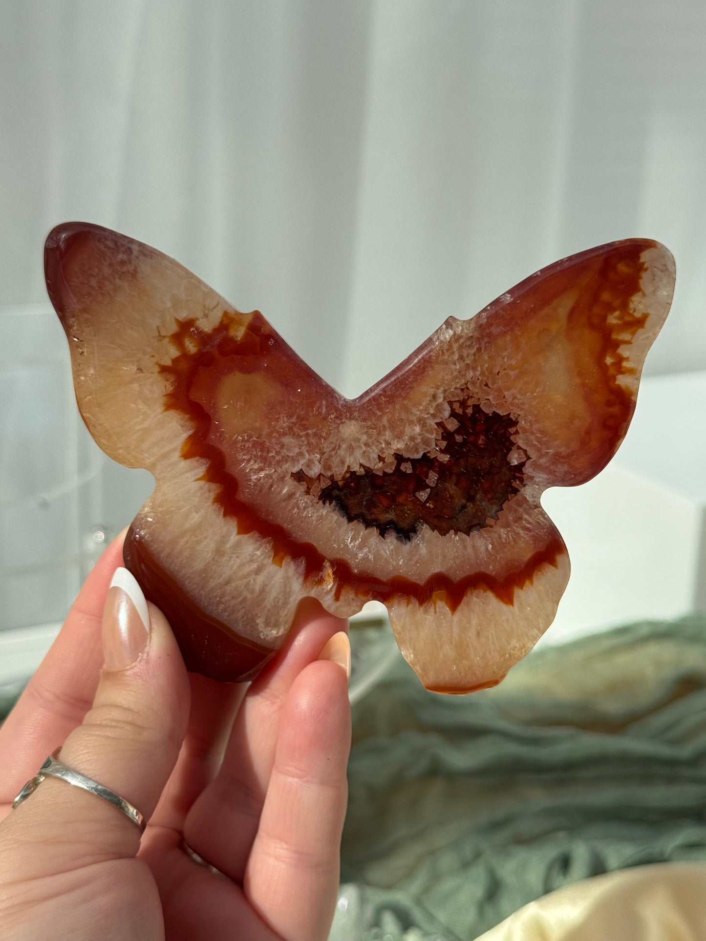 Carnelian Butterflies