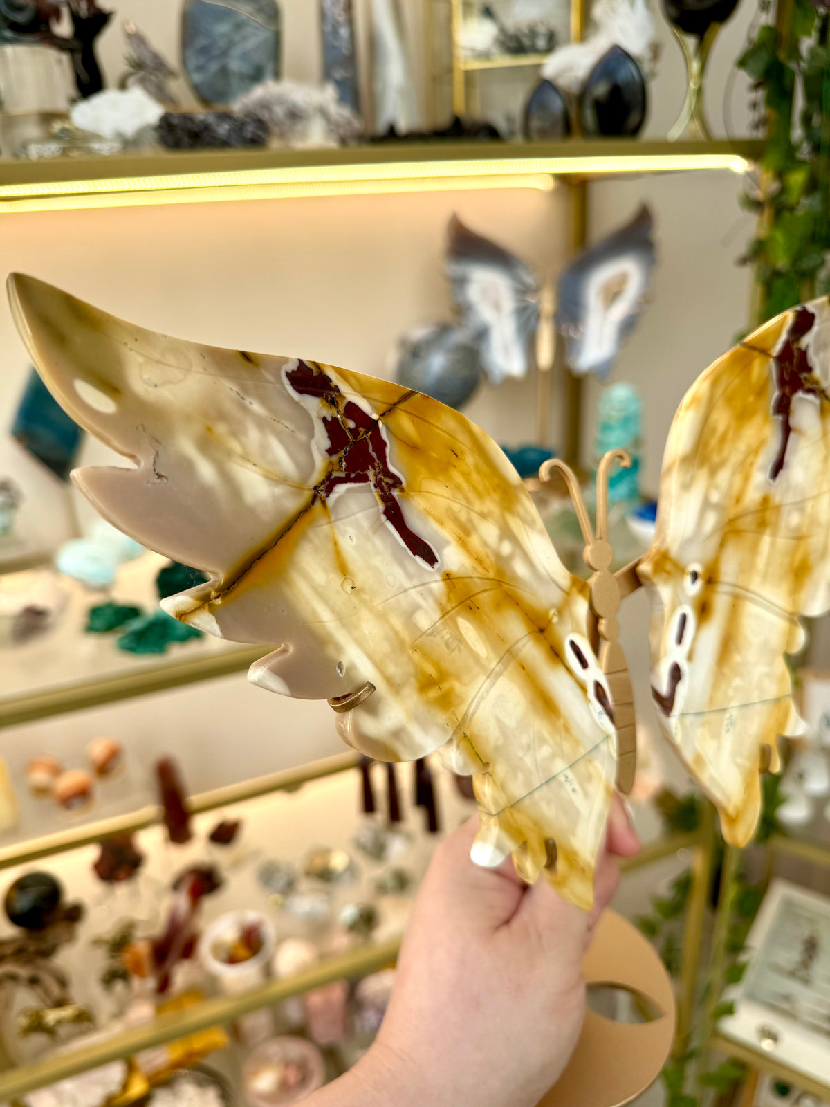 Statement Mookaite Wings