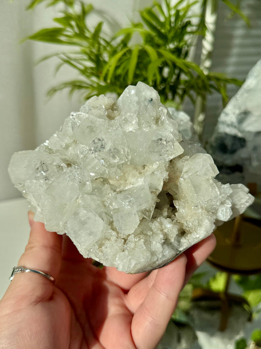 Apophyllite from India
