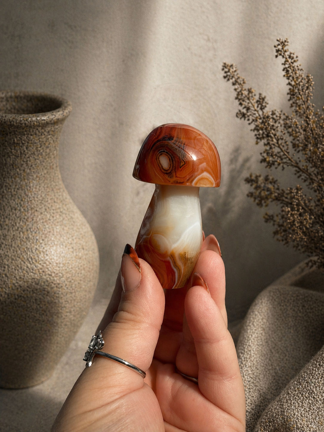 Sardonyx Mushroom