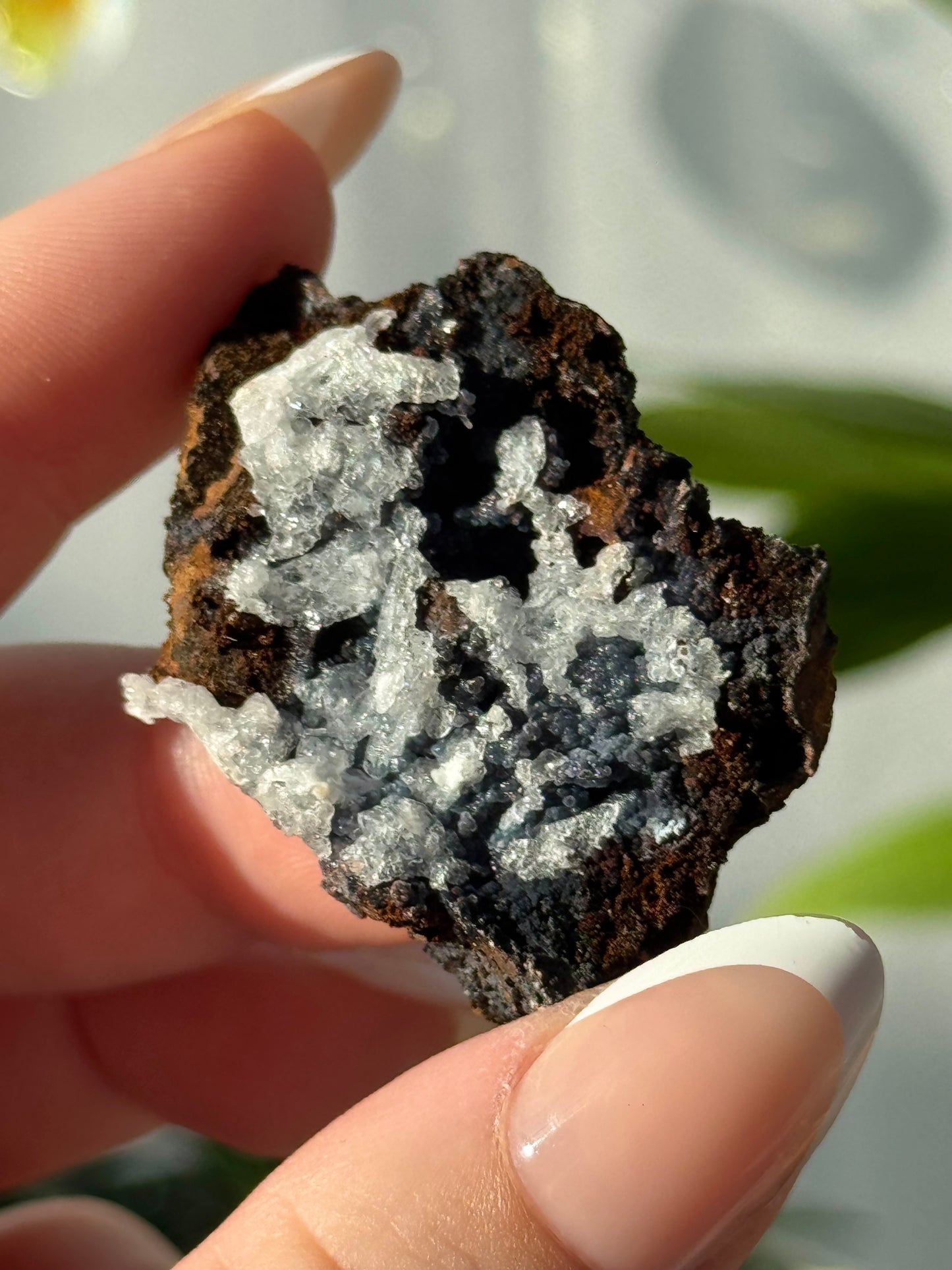 Aragonite & Chalcedony on Geothite from Mexico