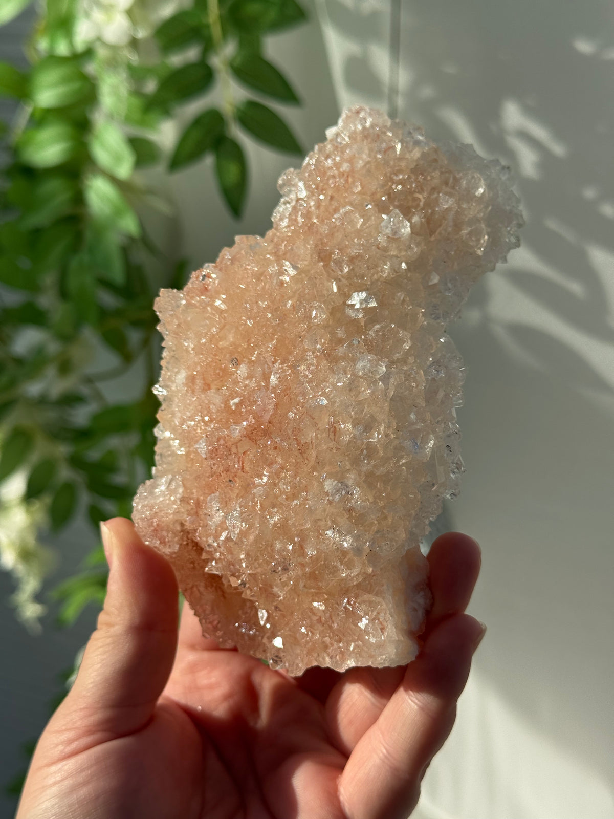 Peachy Pink Apophyllite Specimens from India