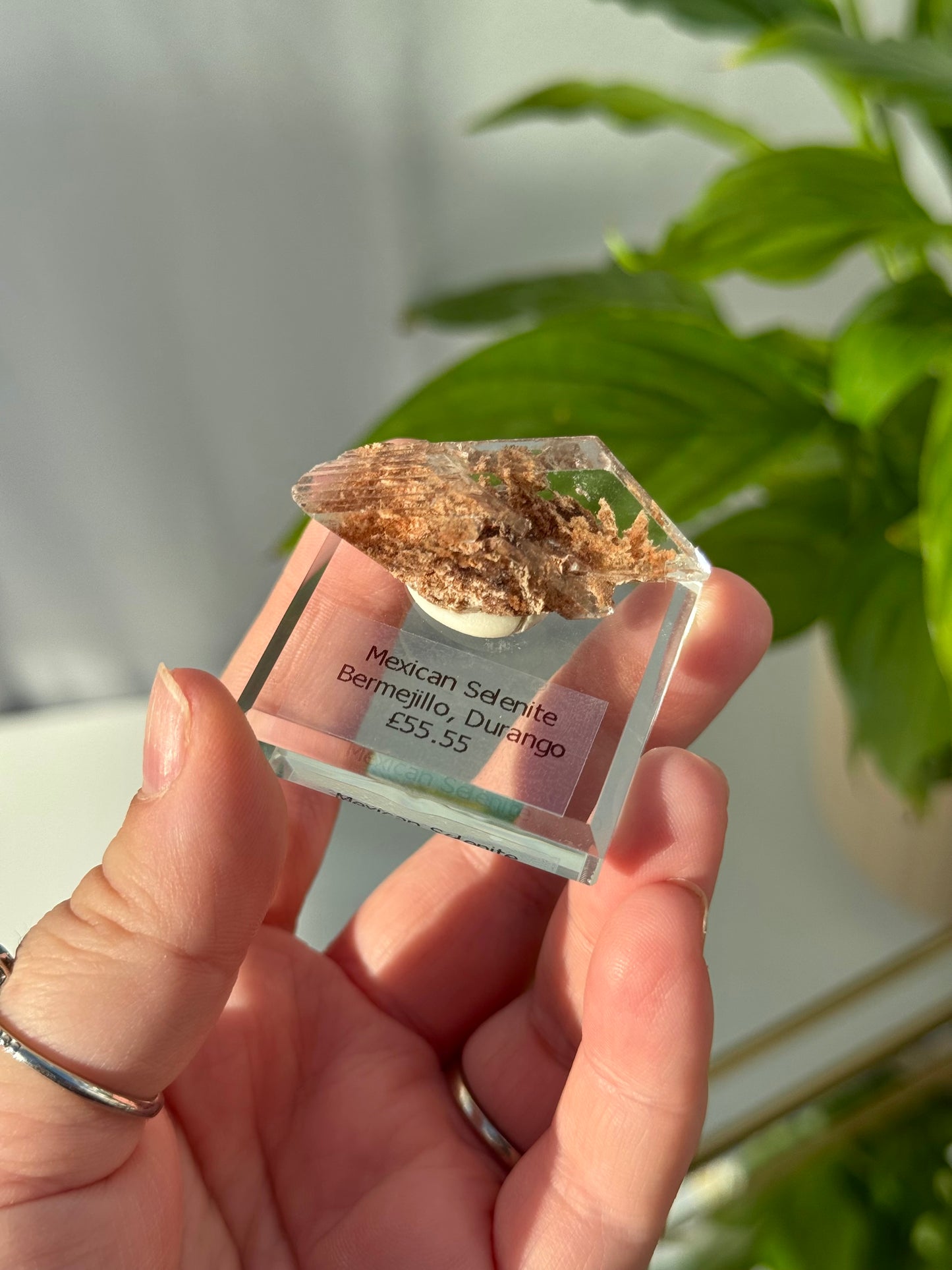 Bermejillo Selenite from Durango, Mexico