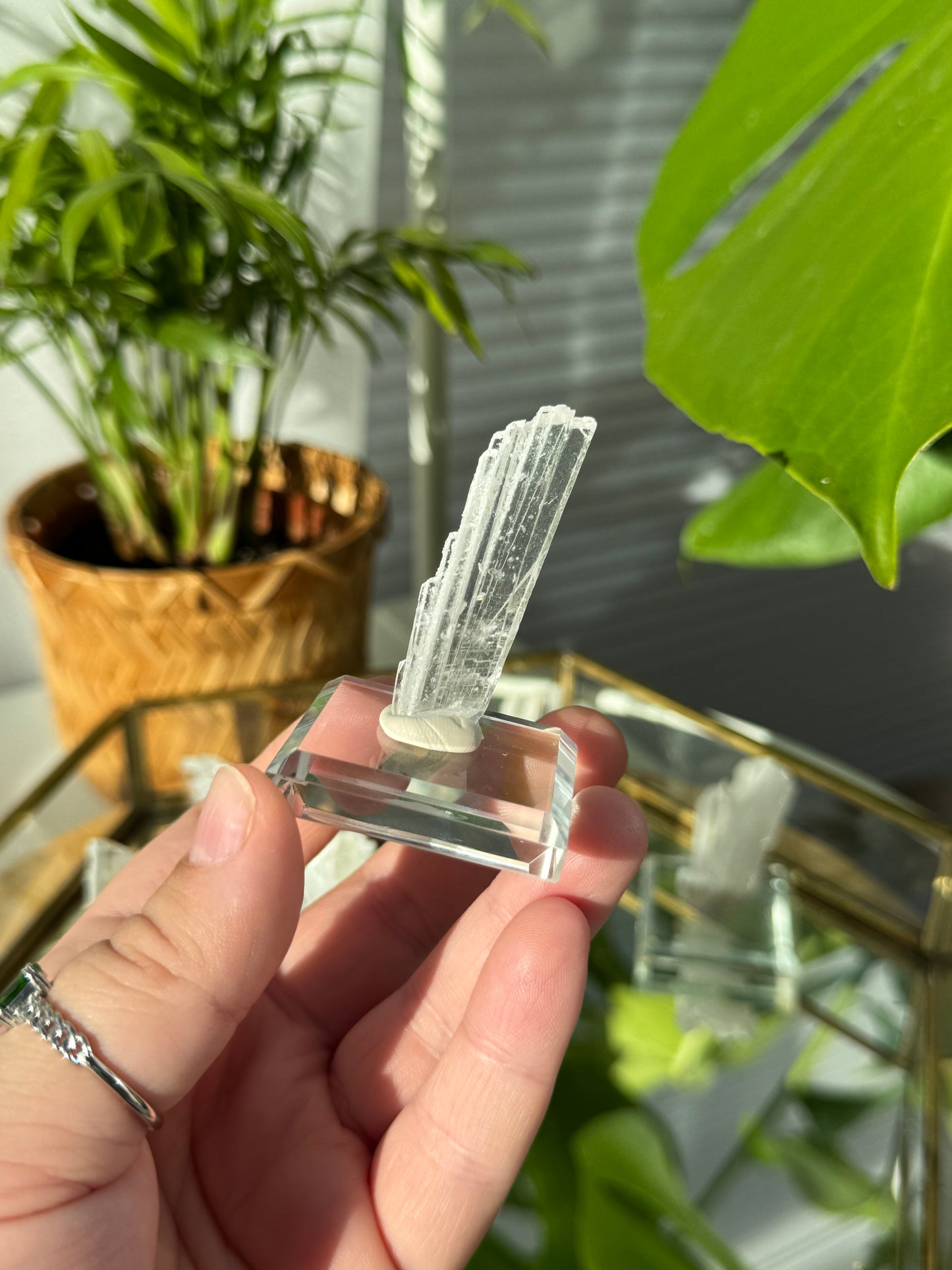 RARE Nifontovite from Mexico