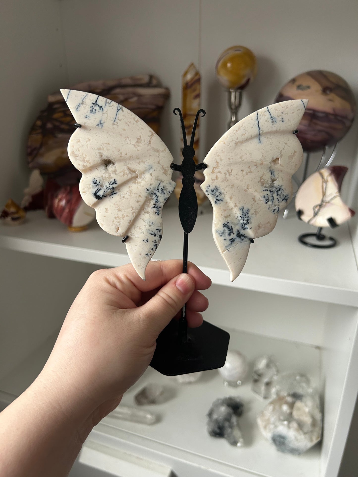 My collection clearance