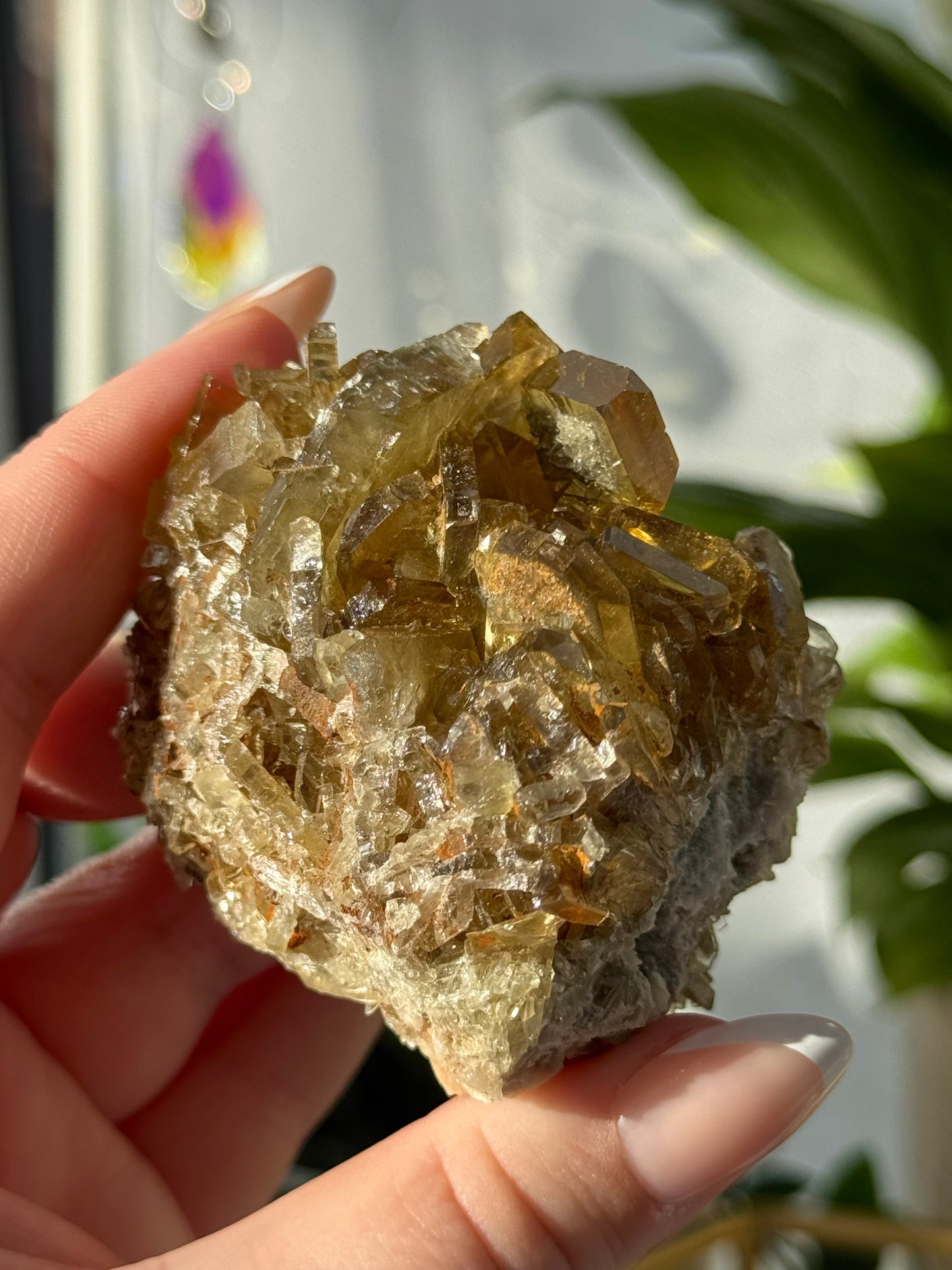 Golden Barite