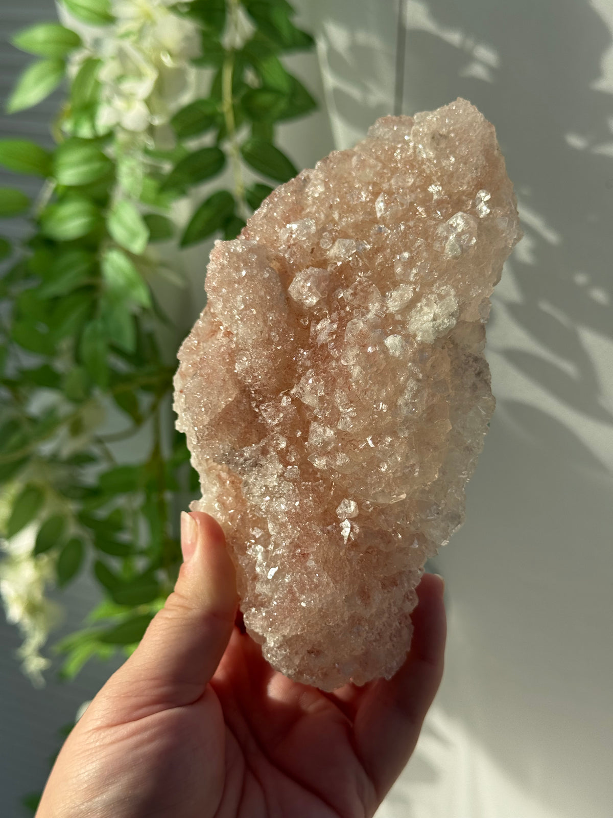 Peachy Pink Apophyllite Specimens from India
