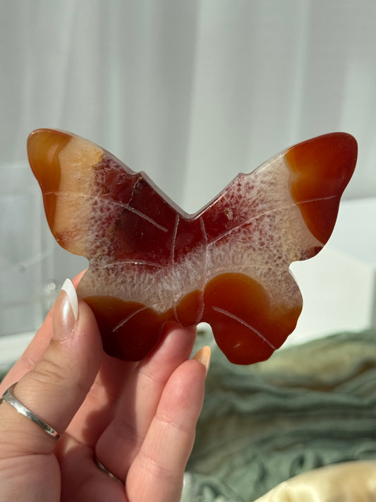Carnelian Butterflies