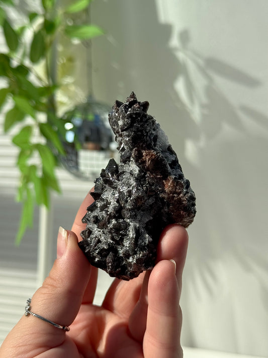 Dogtooth Calcite with Selenite