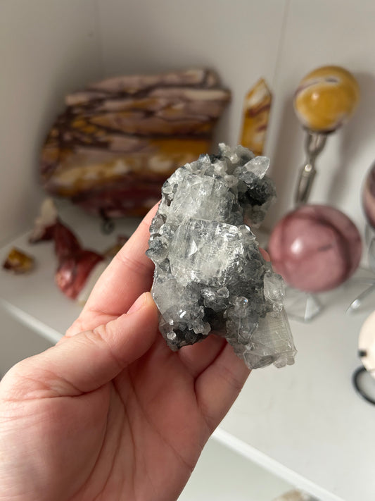 My collection clearance