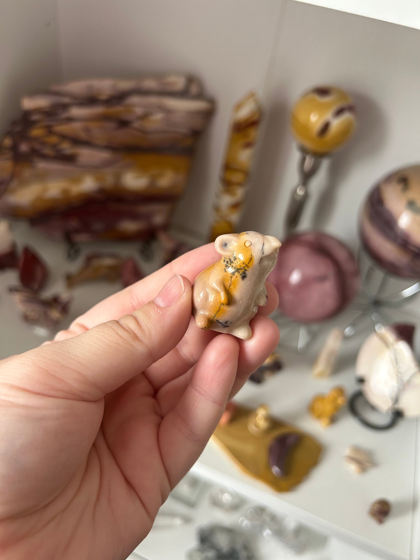 My collection clearance