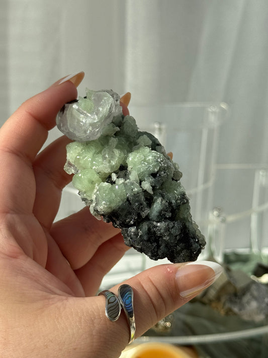 Prehnite with Calcite & Actinolite Specimen