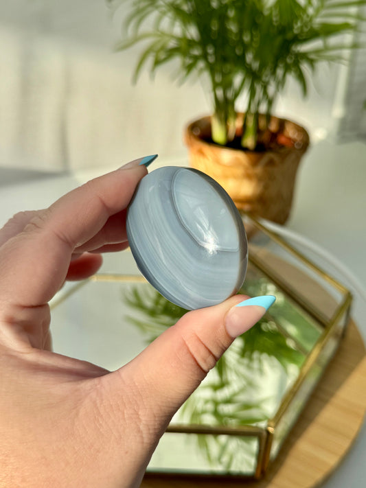Banded Agate Palms