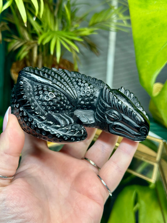 Black Obsidian Dragon