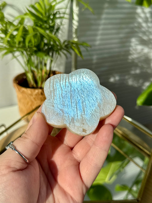 Moonstone Flower