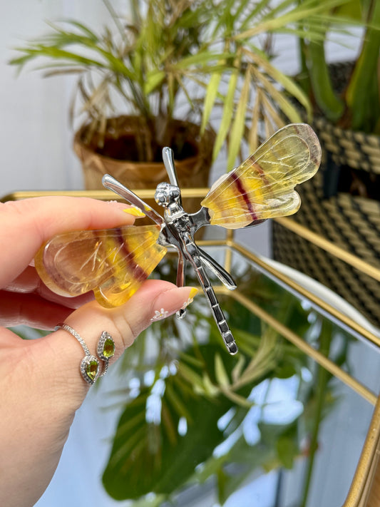 Fluorite Dragonfly’s