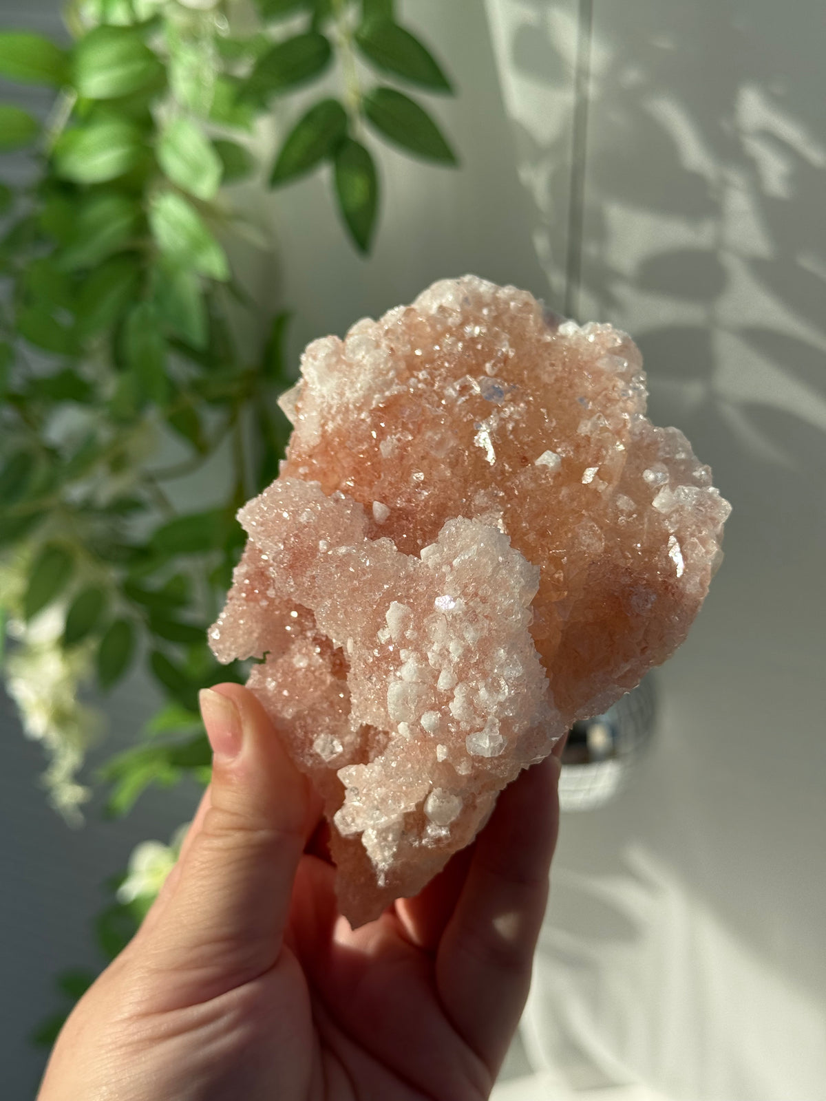 Peachy Pink Apophyllite Specimens from India