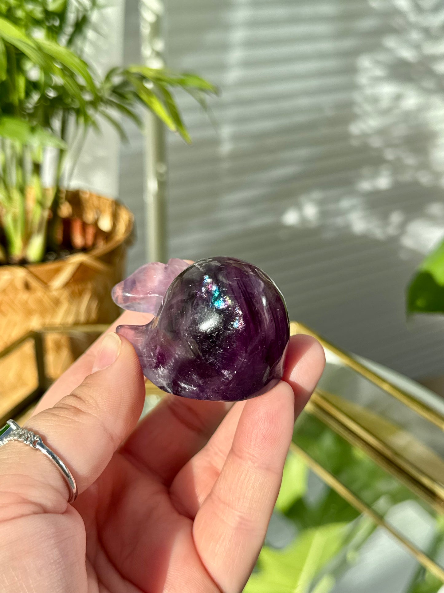 Fluorite Whale
