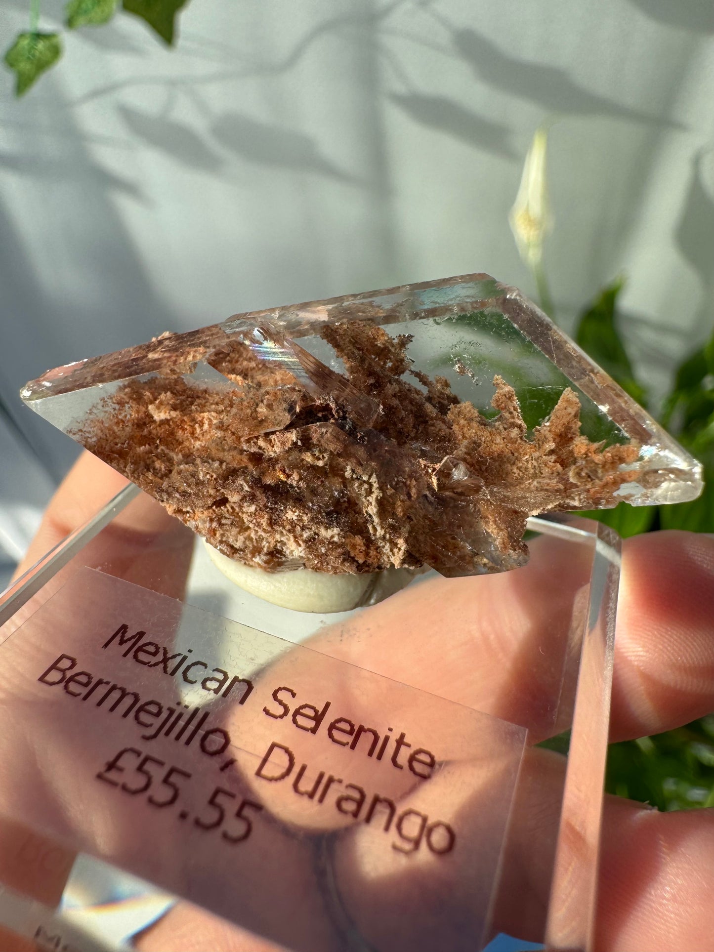 Bermejillo Selenite from Durango, Mexico