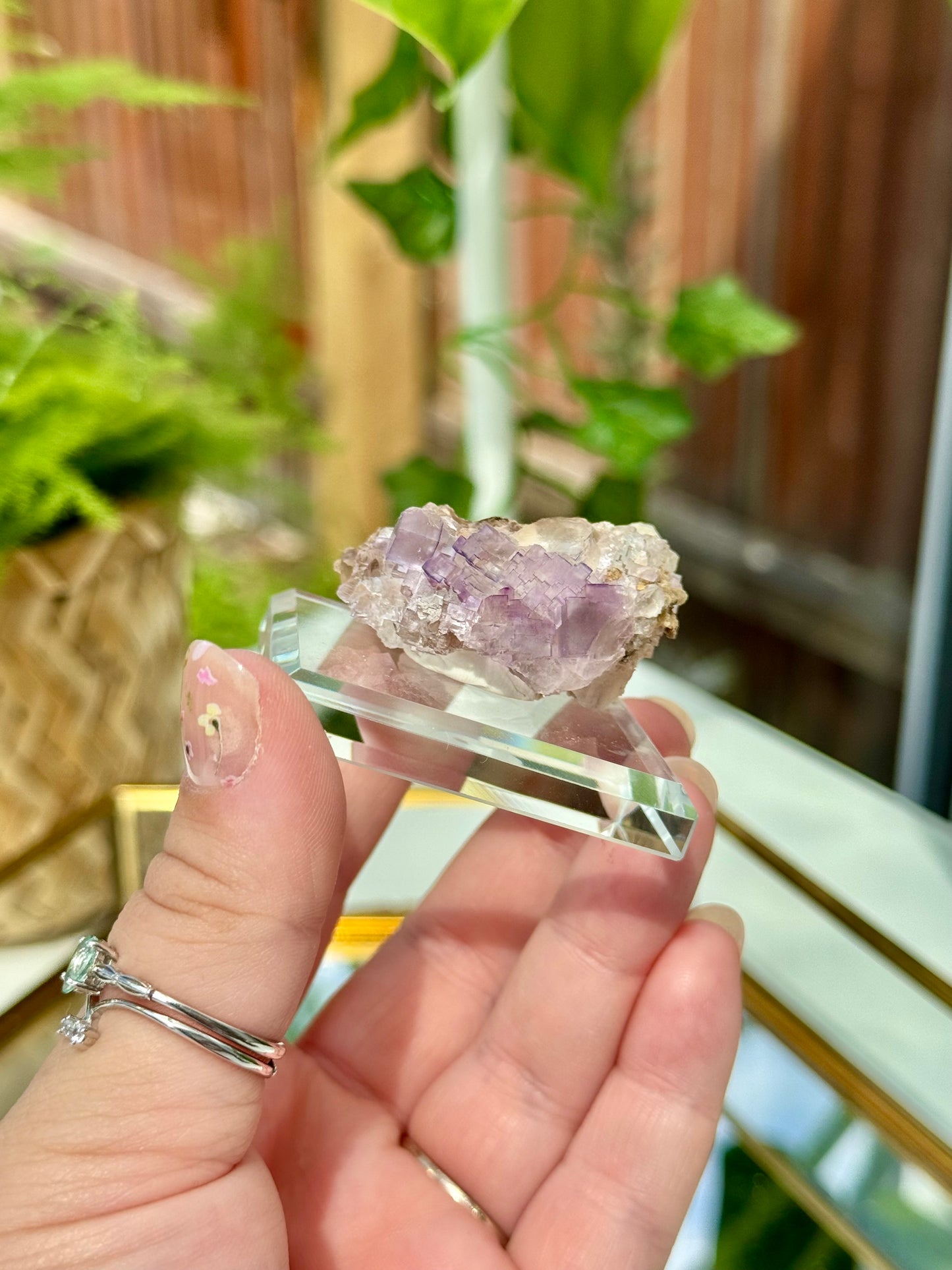 Muzquiz Fluorite from Mexico