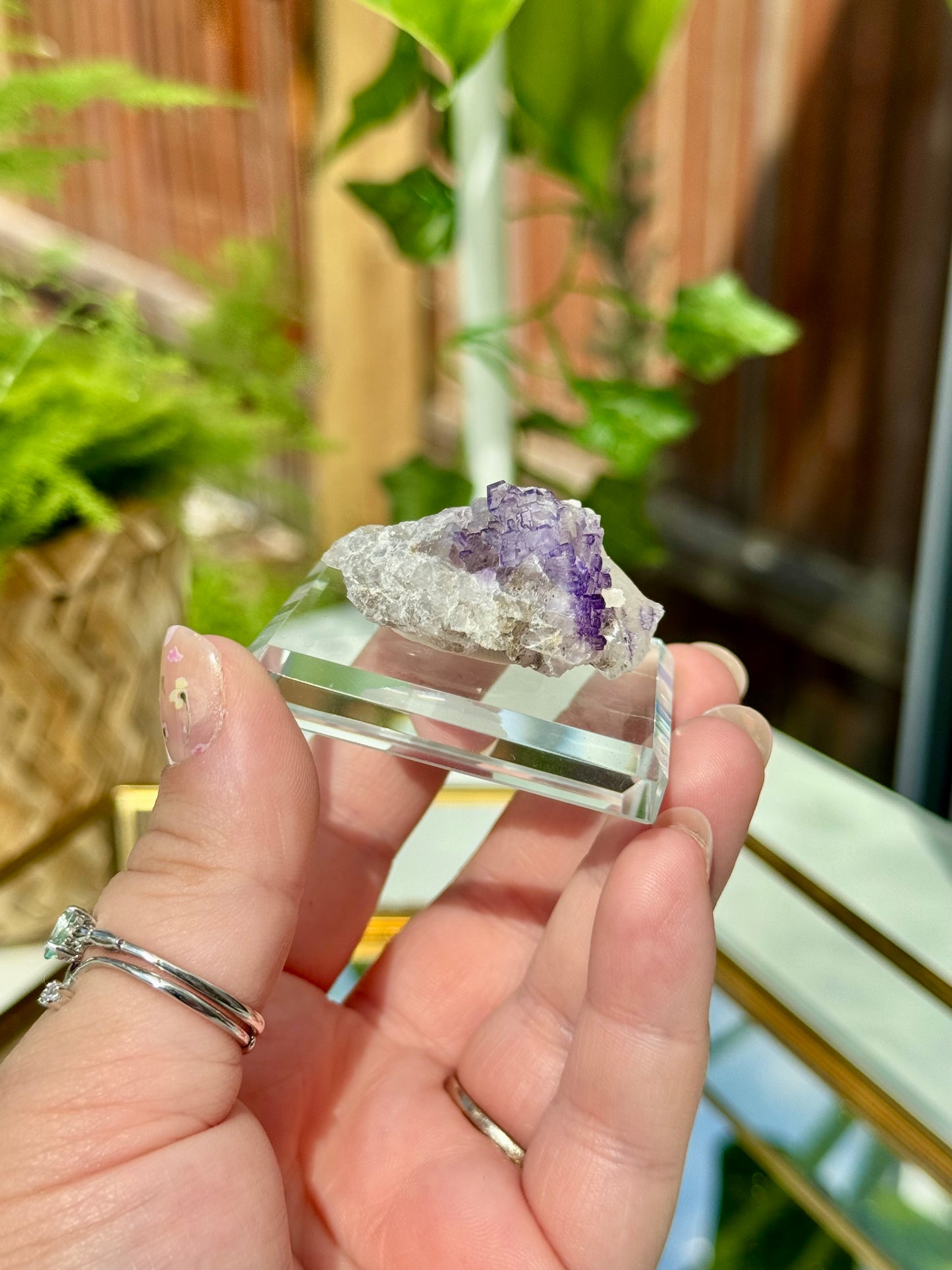 Muzquiz Fluorite from Mexico
