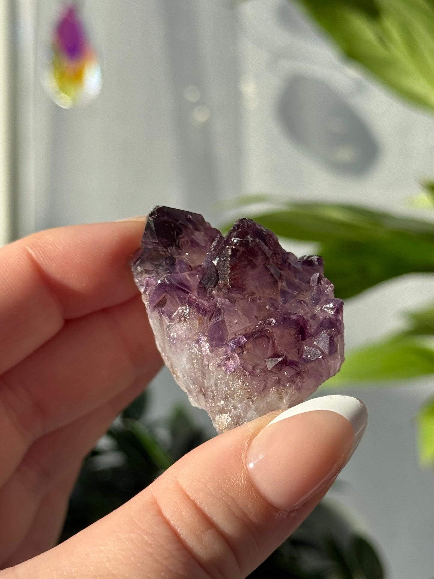 Alien Amethyst (Amethyst with Hematite) from India