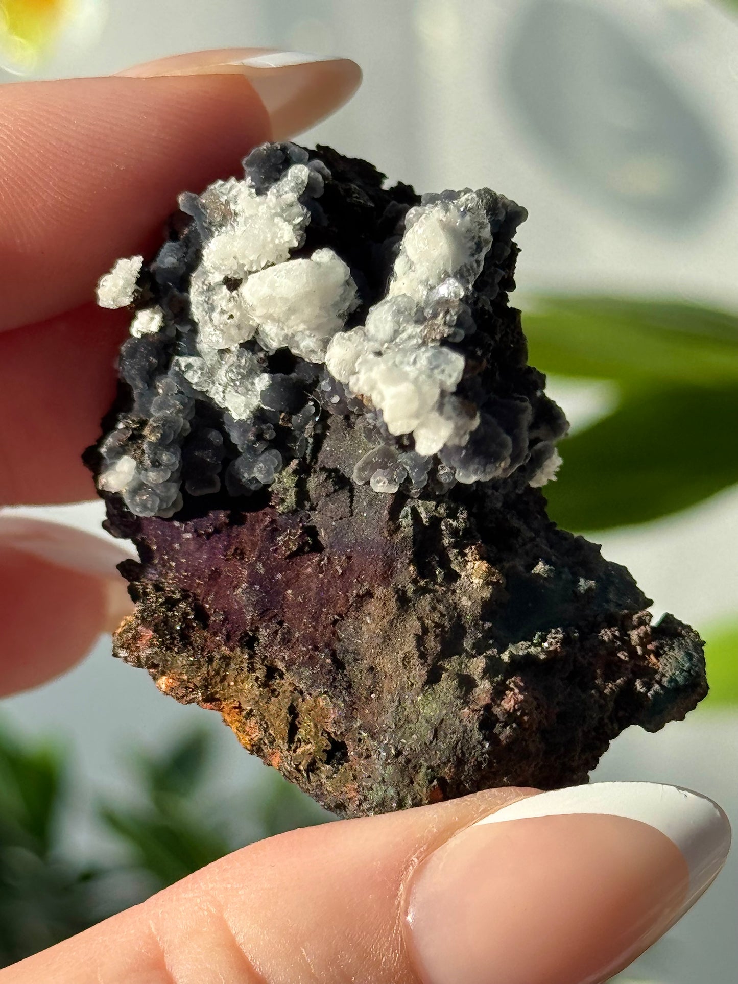 Aragonite & Chalcedony on Geothite from Mexico