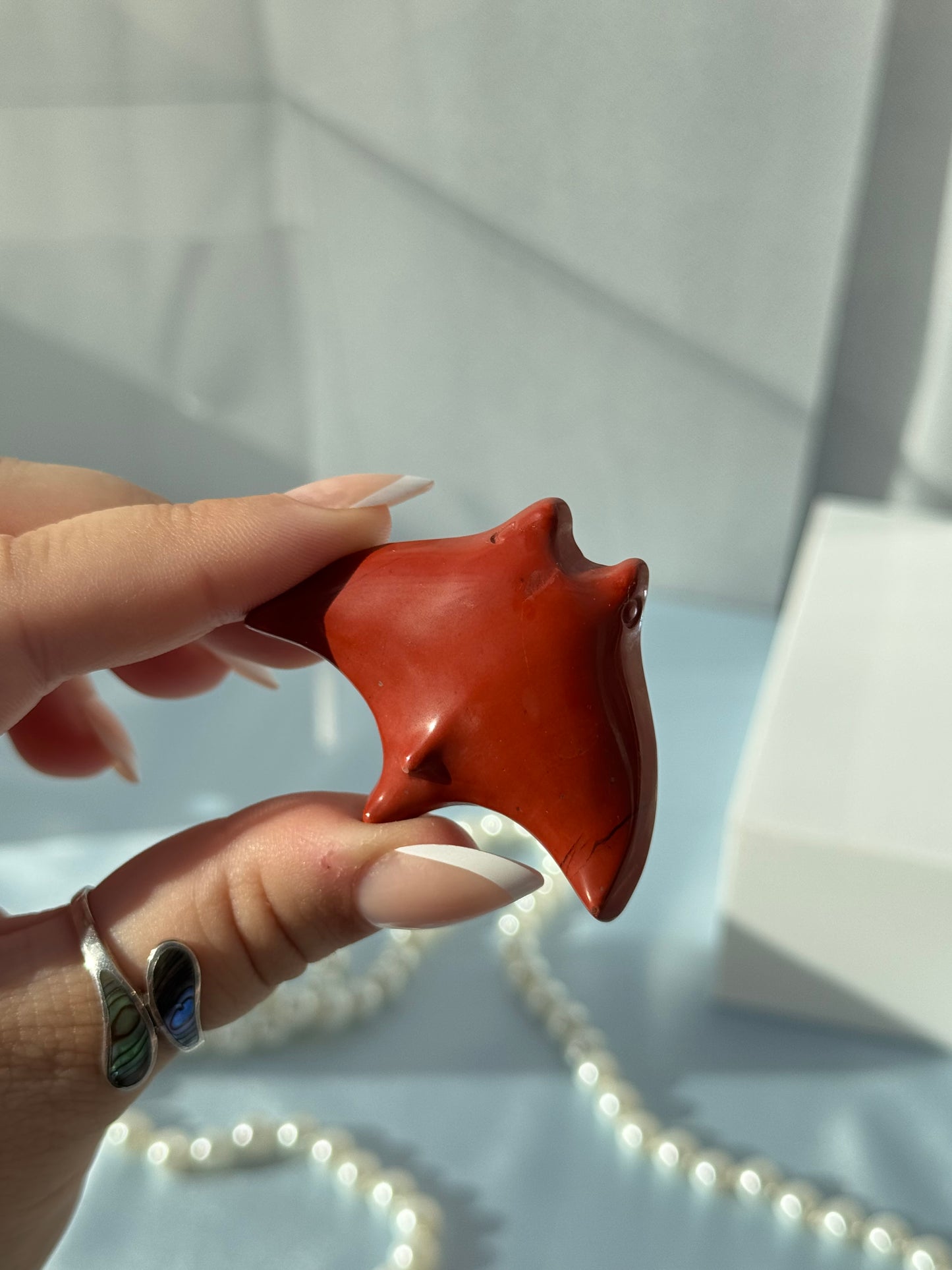 Mini Manta Rays