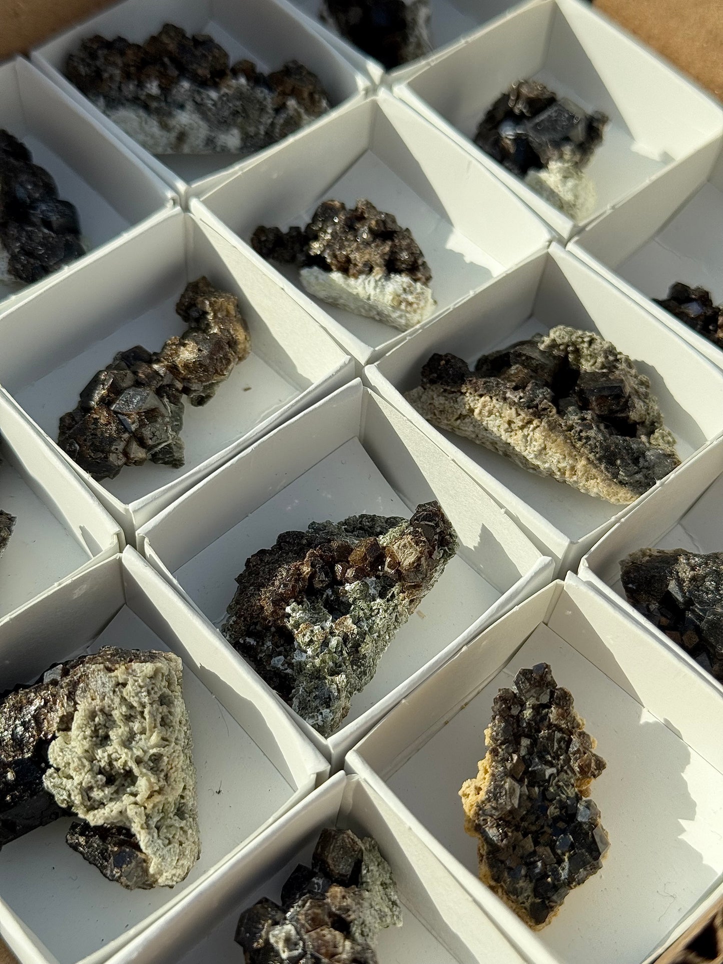 Black Garnet Specimens
