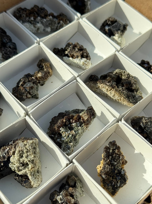 Black Garnet Specimens