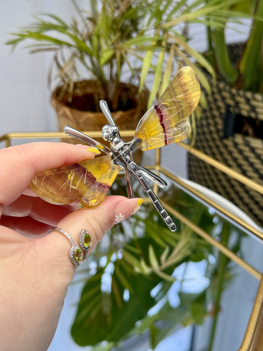Fluorite Dragonfly’s