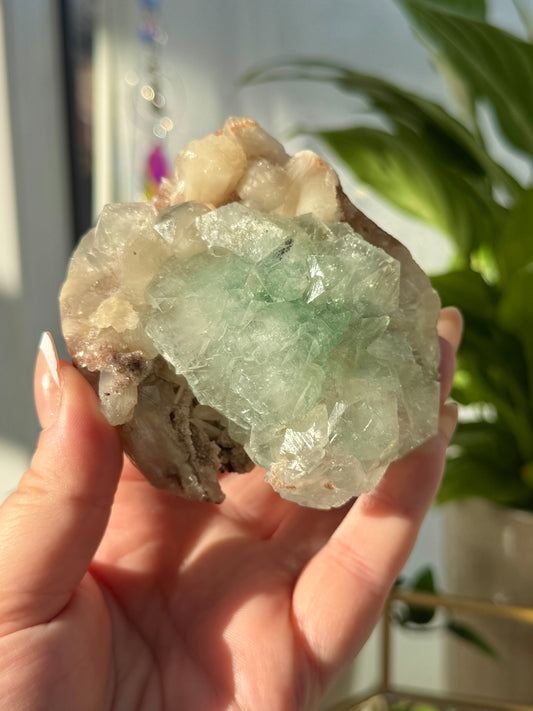 Green Apophyllite from India