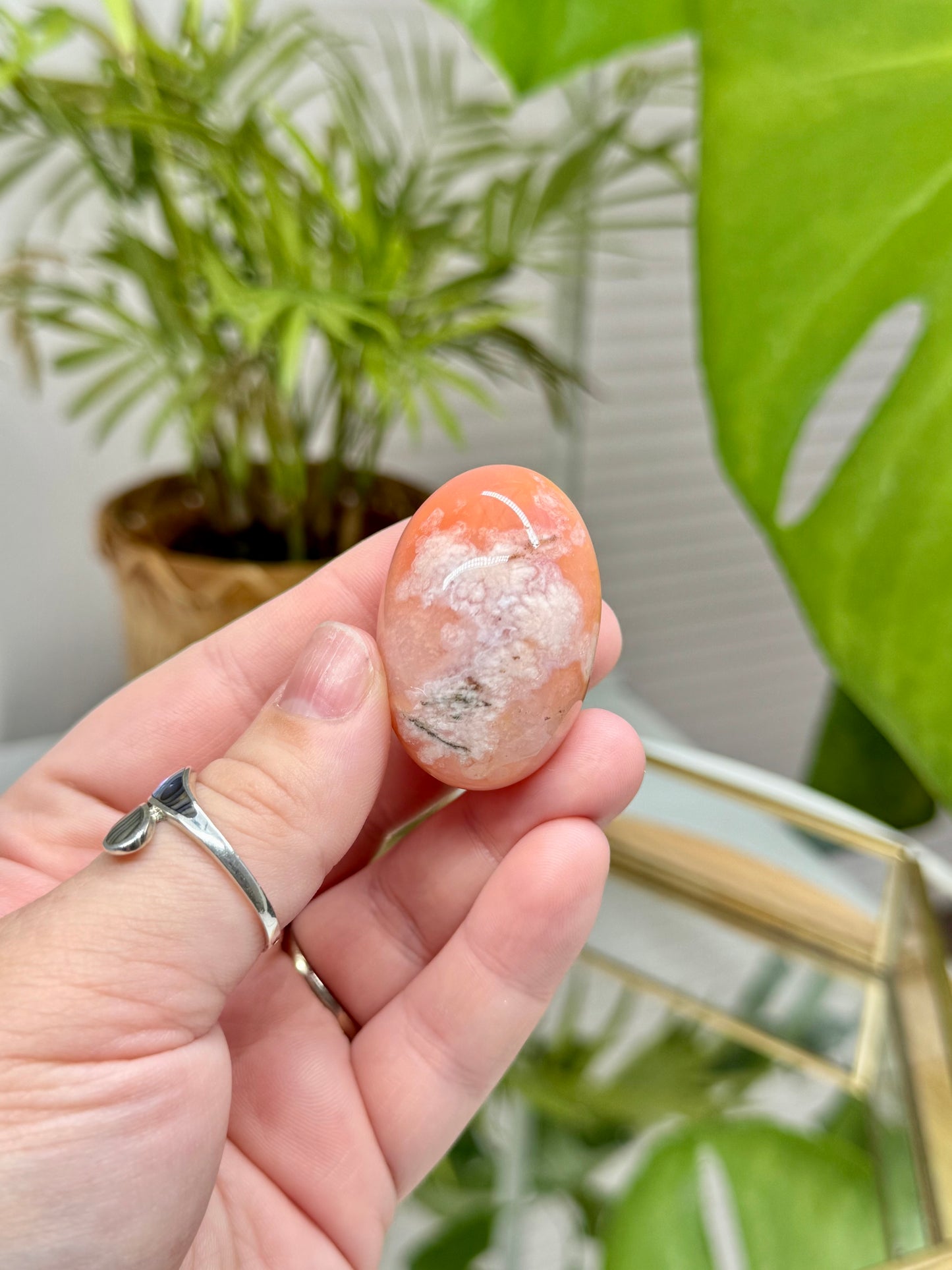 Carnelian Flower Agate Shivas